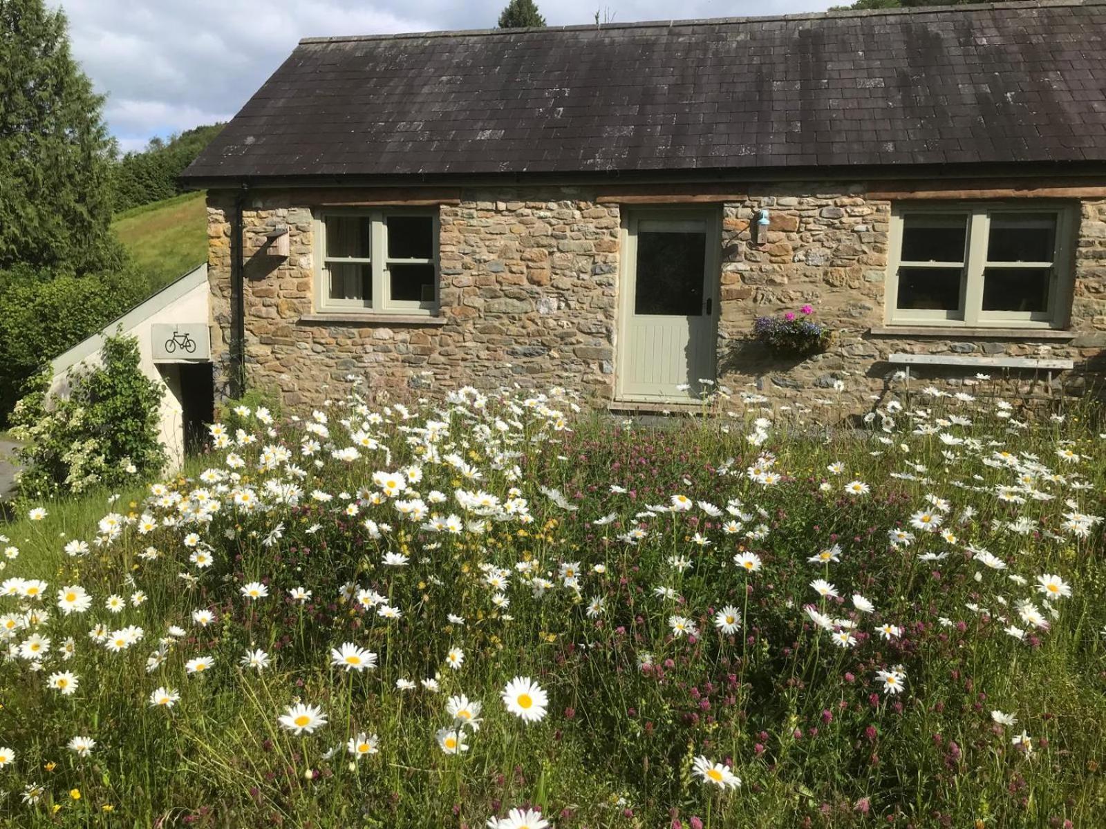 Danygraig Cottage Carmarthen Exterior foto